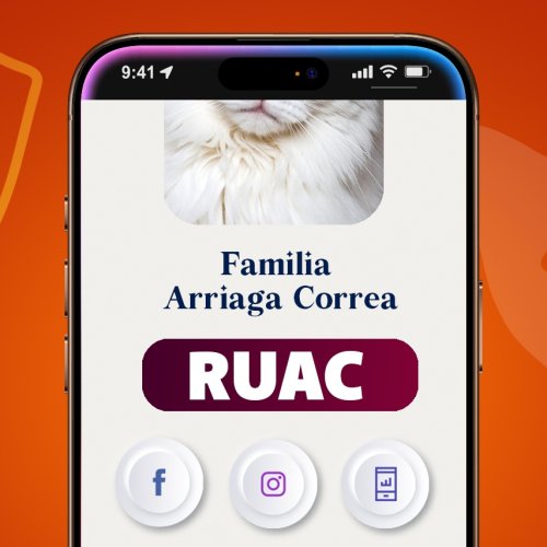 WhatsApp Image 2025-08-10 at 15.04.44