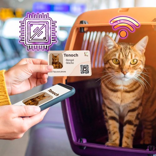 WhatsApp Image 2025-08-12 at 18.56.09