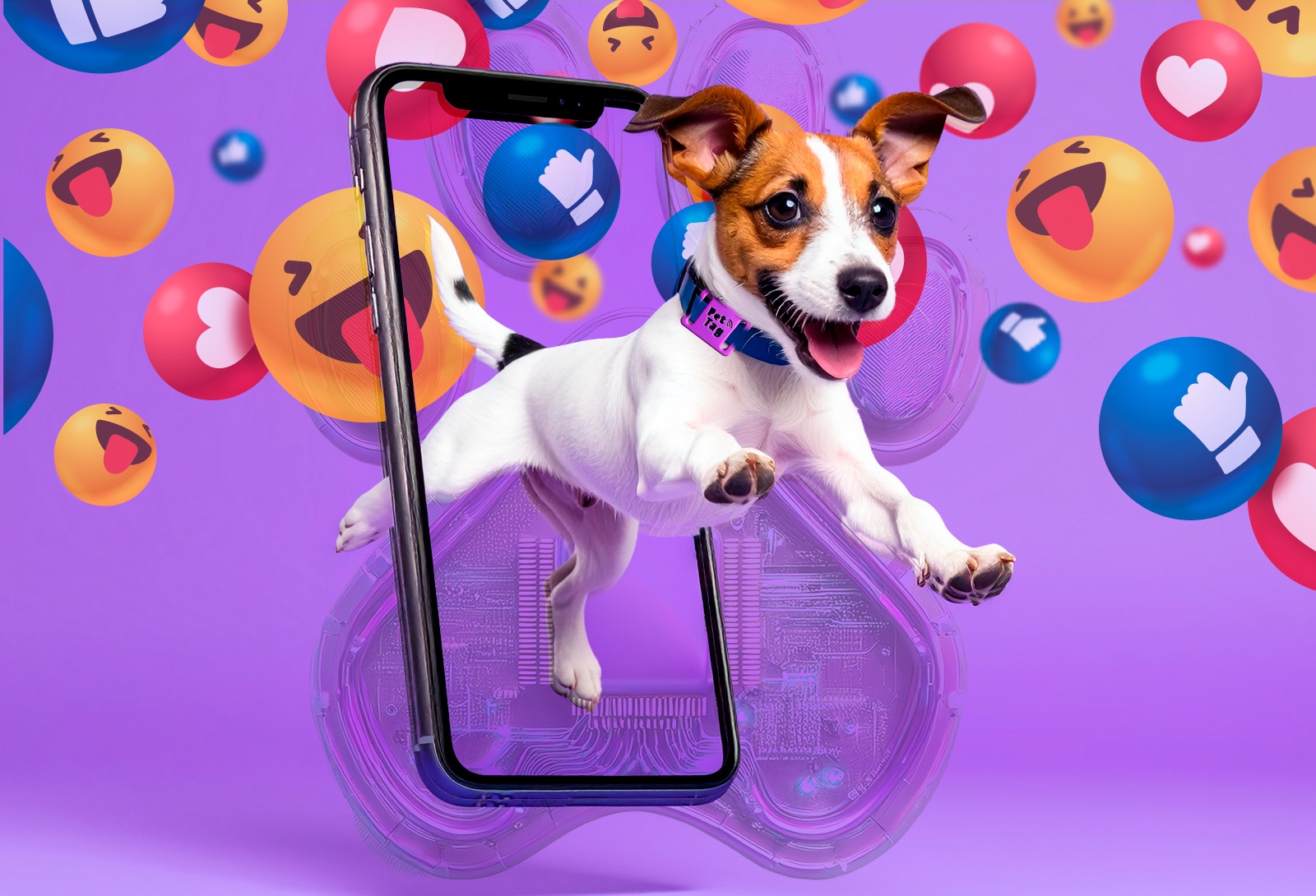 WhatsApp Image 2025-05-18 at 21.18.07