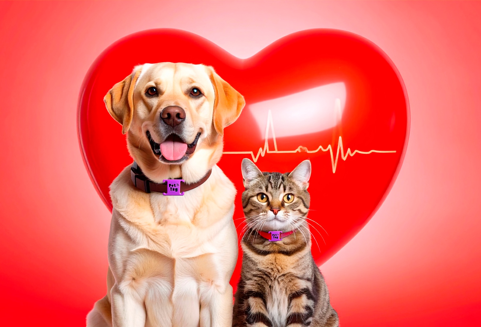 WhatsApp Image 2025-05-18 at 21.36.10