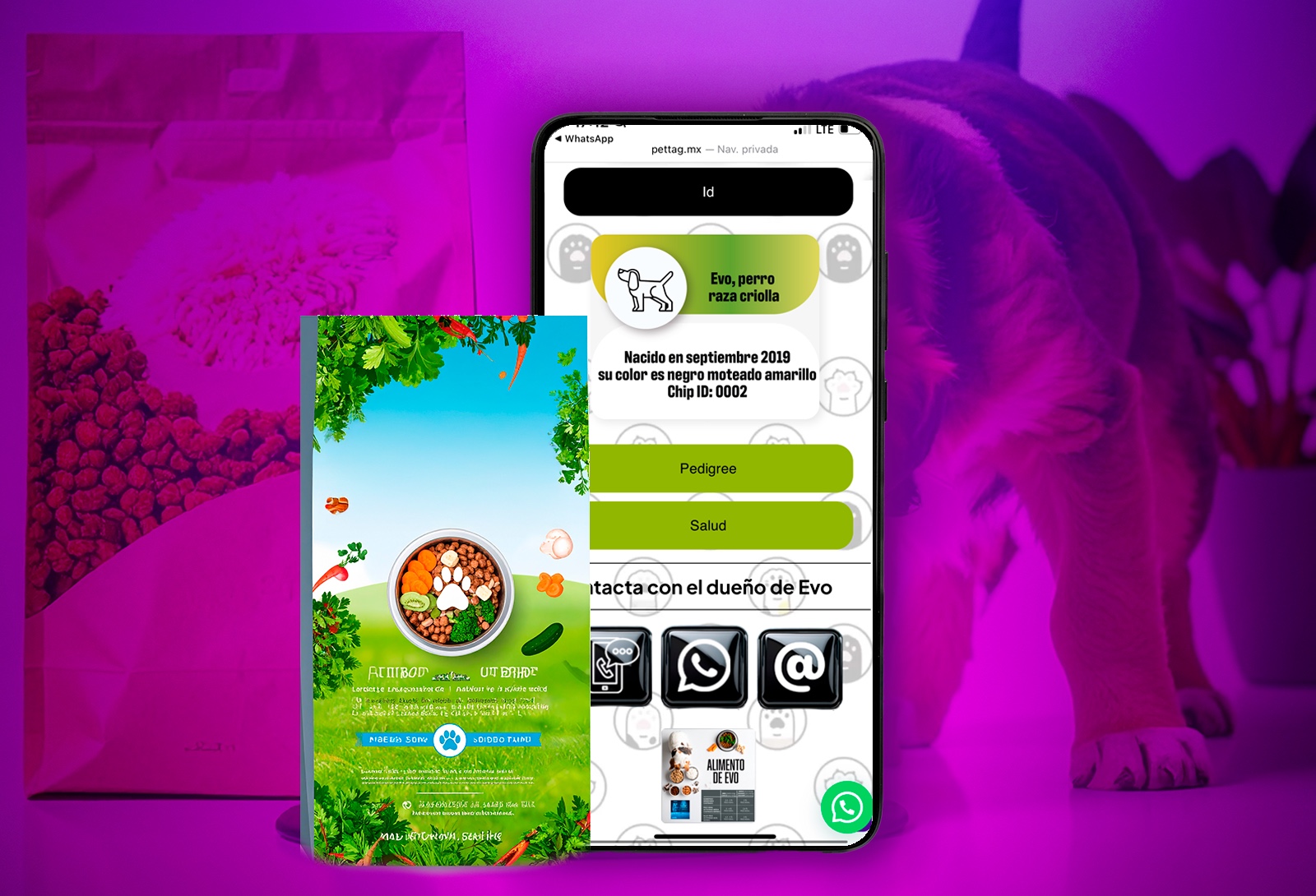 WhatsApp Image 2025-05-18 at 22.00.05