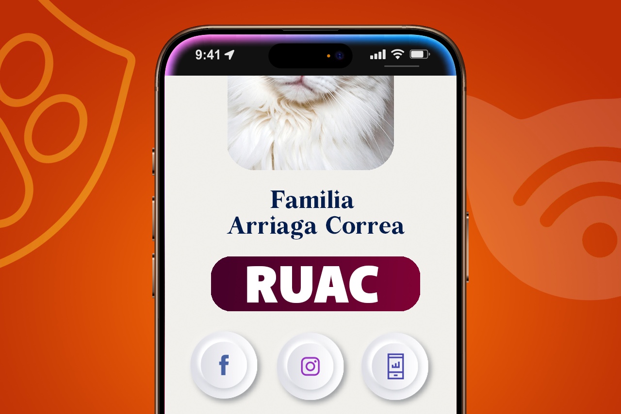 WhatsApp Image 2025-08-10 at 15.04.44