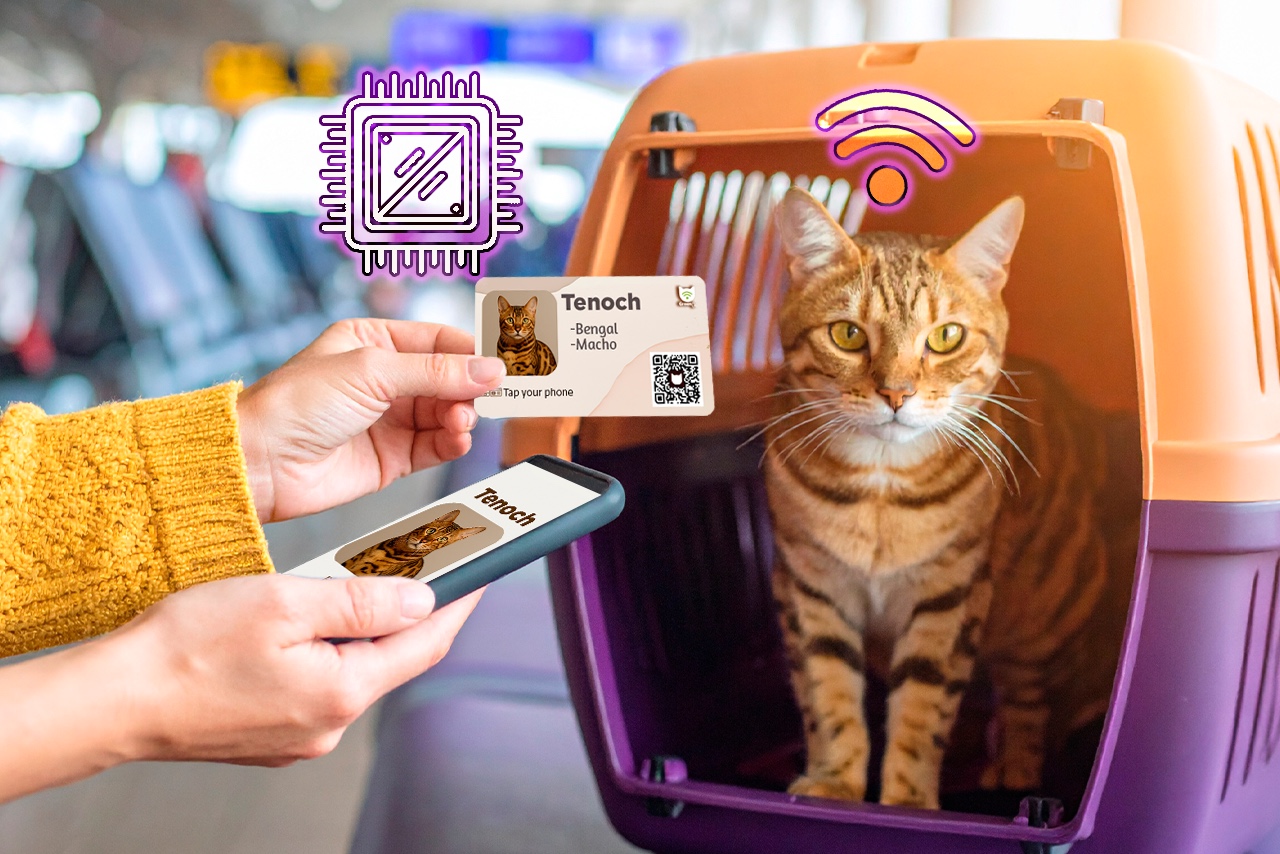 WhatsApp Image 2025-08-12 at 18.56.09